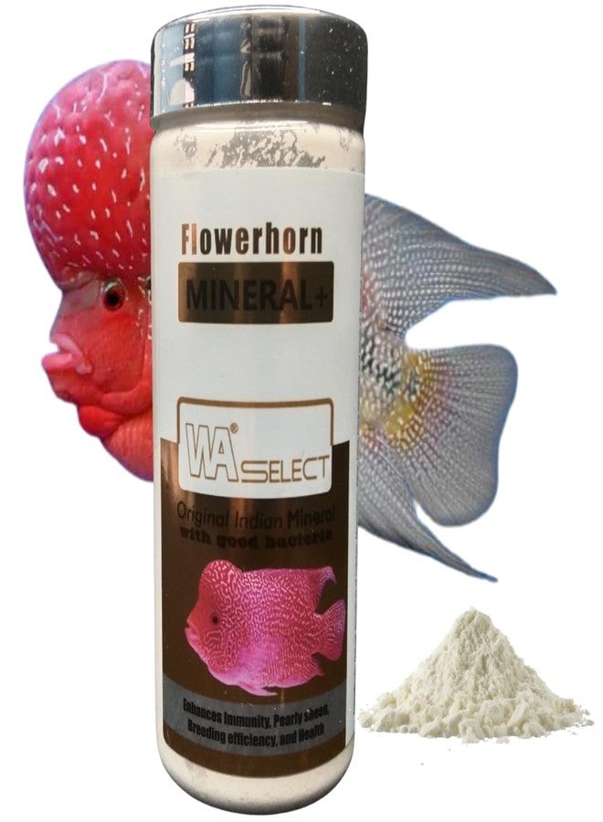 SANSEFERO بريمير بلانتس فلاور هورن مينيرال بلس، معادن هندية أصلية مع كفاءة تكاثر البكتيريا الجيدة والصحة (100 غرام) - Image 1